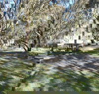 Gungarlin River campground - Northern Rivers Accommodation