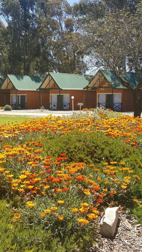 Jamestown Country Retreat Caravan Park - Northern Rivers Accommodation 1