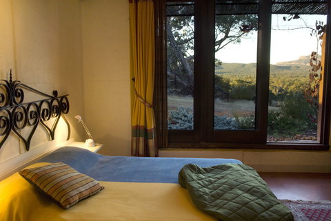 Kangaroos In The Top Paddock - Northern Rivers Accommodation 1