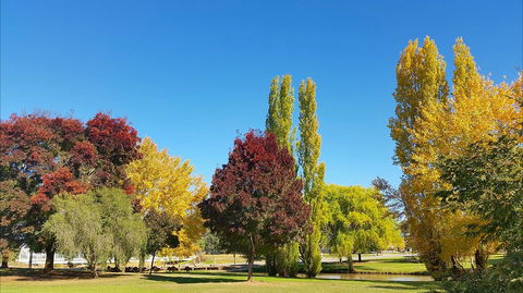 Lockhart Caravan Park - Northern Rivers Accommodation 1