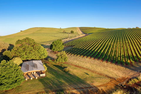 Mt Bellevue - King Valley - Northern Rivers Accommodation 0