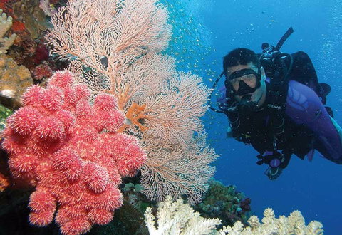 NRMA Palm Cove Holiday Park - Northern Rivers Accommodation 2