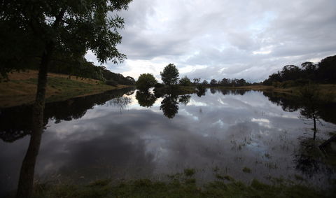 Old Minton Farmstay - Northern Rivers Accommodation 0