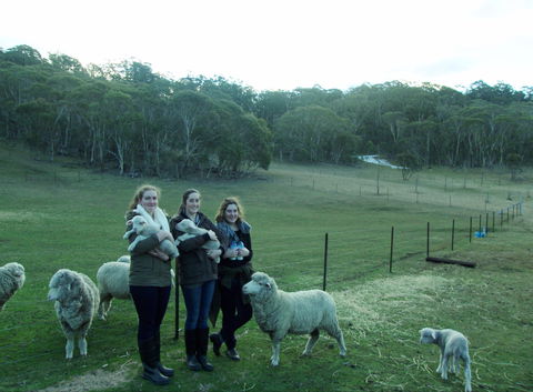 Old Minton Farmstay - Northern Rivers Accommodation 1