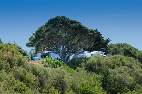 Sorrento Foreshore Camping - Northern Rivers Accommodation 2