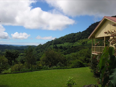 Toolond Plantation Guesthouse - Northern Rivers Accommodation 0