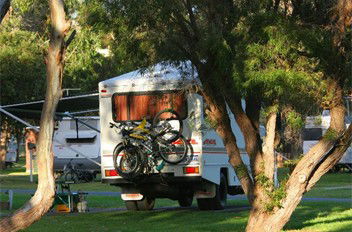 BIG4 Albany Gardens Holiday Resort - Northern Rivers Accommodation 3