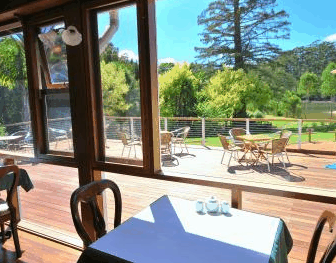 Forest Lodge Resort - Northern Rivers Accommodation 2