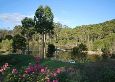 Forest Lodge Resort - Northern Rivers Accommodation 3