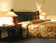 Comfort Inn Treetop Walk - Northern Rivers Accommodation