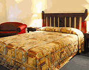 Comfort Inn Treetop Walk - Northern Rivers Accommodation 2