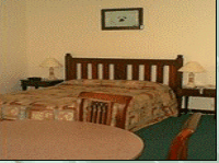 Comfort Inn Treetop Walk - Northern Rivers Accommodation 3