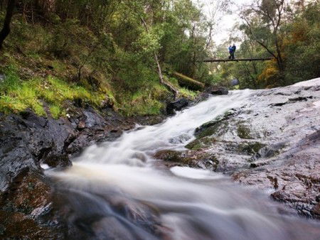 Karri Valley Resort - Northern Rivers Accommodation 2