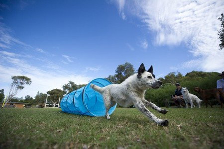North Beach Holiday Park - Northern Rivers Accommodation 1