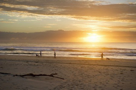 North Beach Holiday Park - Northern Rivers Accommodation 4