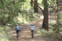 Craigmhor Mountain Retreat - Northern Rivers Accommodation 2