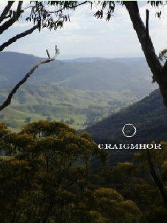 Craigmhor Mountain Retreat - Northern Rivers Accommodation 3