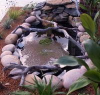 Equal Balance Bed and Breakfast - Northern Rivers Accommodation