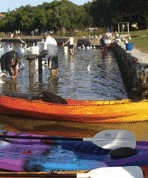 Turner Caravan Park - Northern Rivers Accommodation 1