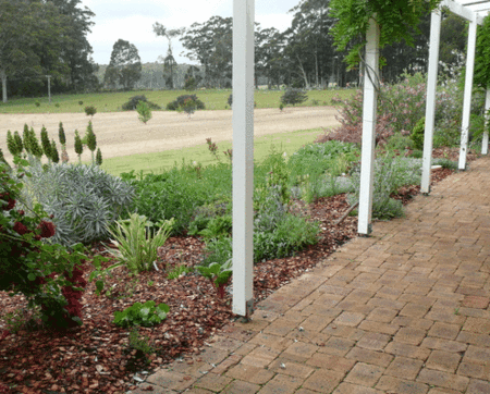 Big Brook Retreat - Northern Rivers Accommodation 4