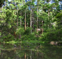 Peppermint Grove Retreat - Northern Rivers Accommodation