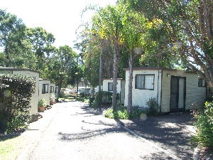 Shady Willows Caravan Park - Northern Rivers Accommodation 1
