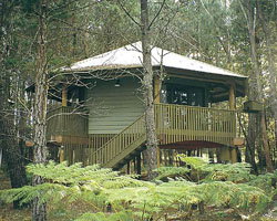 Possums Hideaway - Northern Rivers Accommodation 0