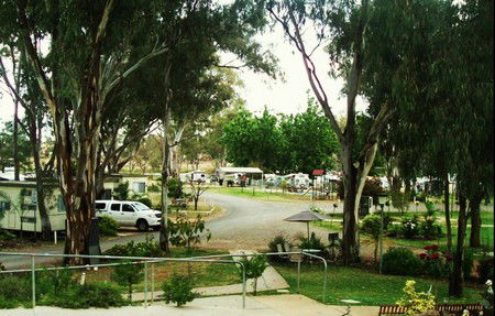 Buronga Riverside Tourist Park - Northern Rivers Accommodation 4