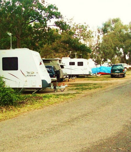 Buronga Riverside Tourist Park - Northern Rivers Accommodation 5