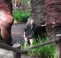 Walpole Lodge - Northern Rivers Accommodation 0