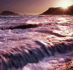 Walpole Lodge - Northern Rivers Accommodation 1