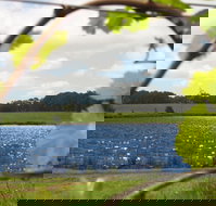 Bettenays Lakeside Loft Apartment and Vineyard Chalets - Northern Rivers Accommodation