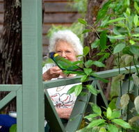 Pemberton Caravan Park - Northern Rivers Accommodation