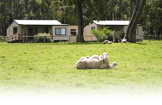 Cambray Cottages - Northern Rivers Accommodation 1