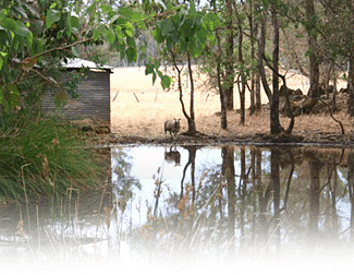 Cambray Cottages - Northern Rivers Accommodation 3