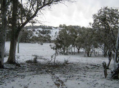 The Range - Northern Rivers Accommodation 4