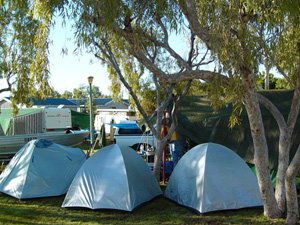 Ningaloo Caravan And Holiday Resort - Northern Rivers Accommodation 2