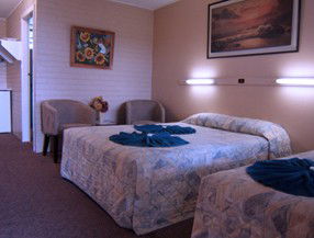 Whitsunday Palms Motel - Northern Rivers Accommodation 0
