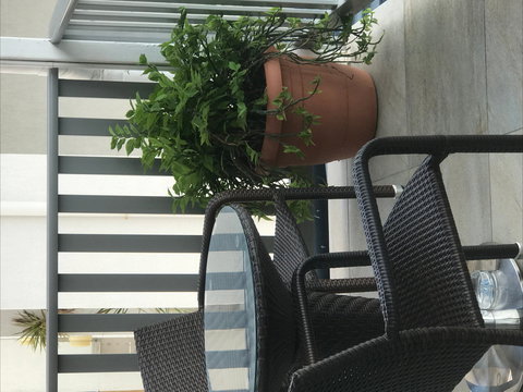 Airlie Court Units - Northern Rivers Accommodation 2