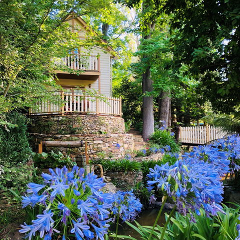 Aldgate Creek Cottage Bed & Breakfast - Northern Rivers Accommodation 0