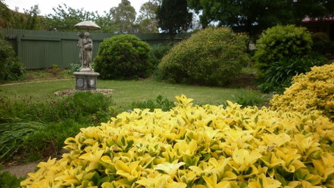 Ayers Burra - Northern Rivers Accommodation 2
