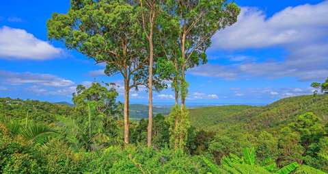 Cloud 9 Cliff Top Eagle Heights - Northern Rivers Accommodation 1