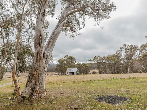 Cooinbil Hut Campground - Northern Rivers Accommodation 2