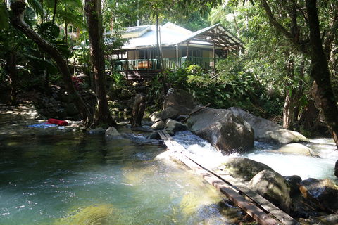 Daintree Secrets Rainforest Sanctuary - Northern Rivers Accommodation 2