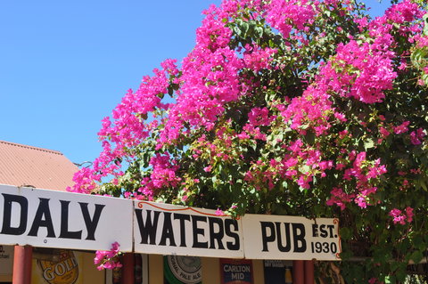 Daly Waters Historic Pub - Northern Rivers Accommodation 0