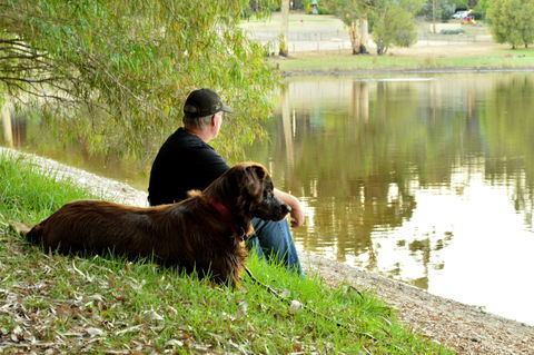 Diamond Forest Farm Stay - Northern Rivers Accommodation 2