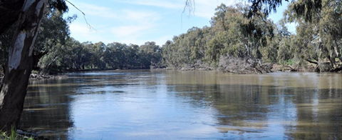 Hay Caravan Park - Northern Rivers Accommodation 0