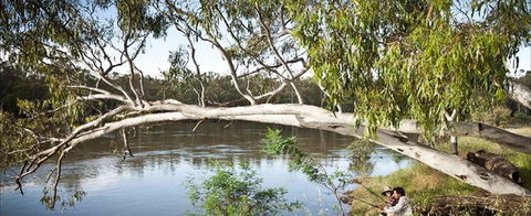 Hay Caravan Park - Northern Rivers Accommodation 1