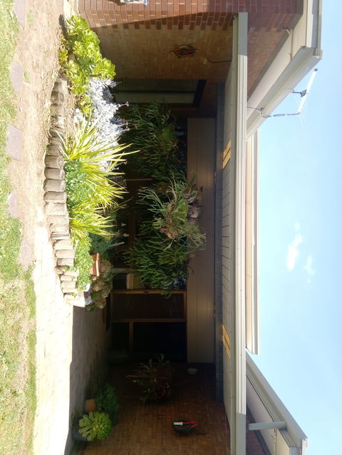 Hilltop Escape B&B - Northern Rivers Accommodation 0
