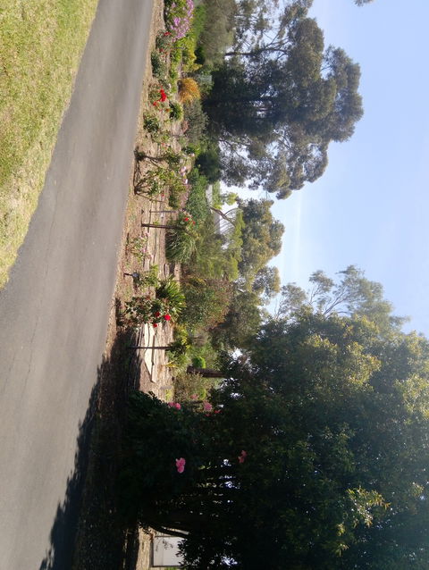 Hilltop Escape B&B - Northern Rivers Accommodation 1